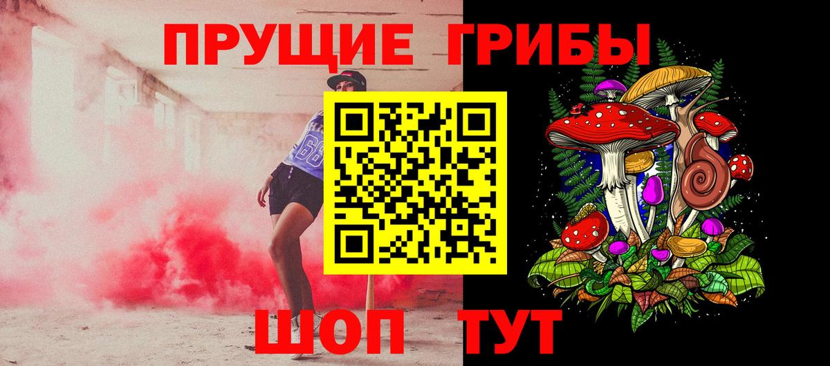 Псилоцибиновые грибы Psilocybine cubensis Шумерля